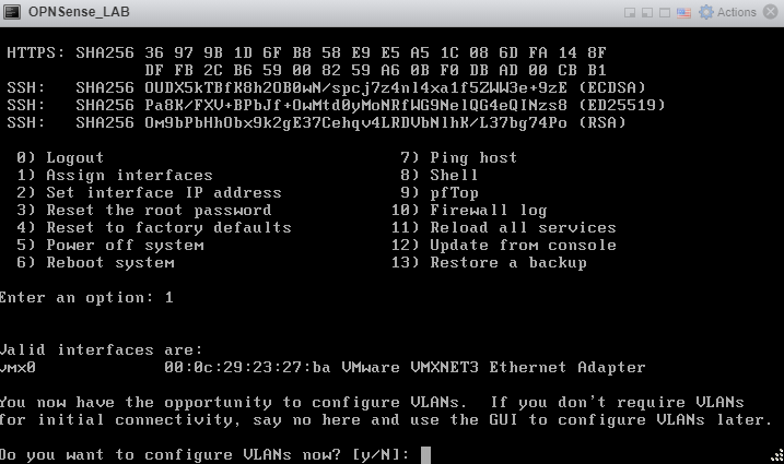 OPNSense Configure VLAN