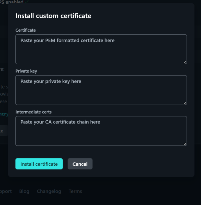 Netlify enter ssl details