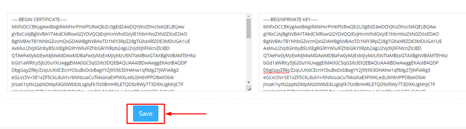 CyberPanel Paste SSL Details